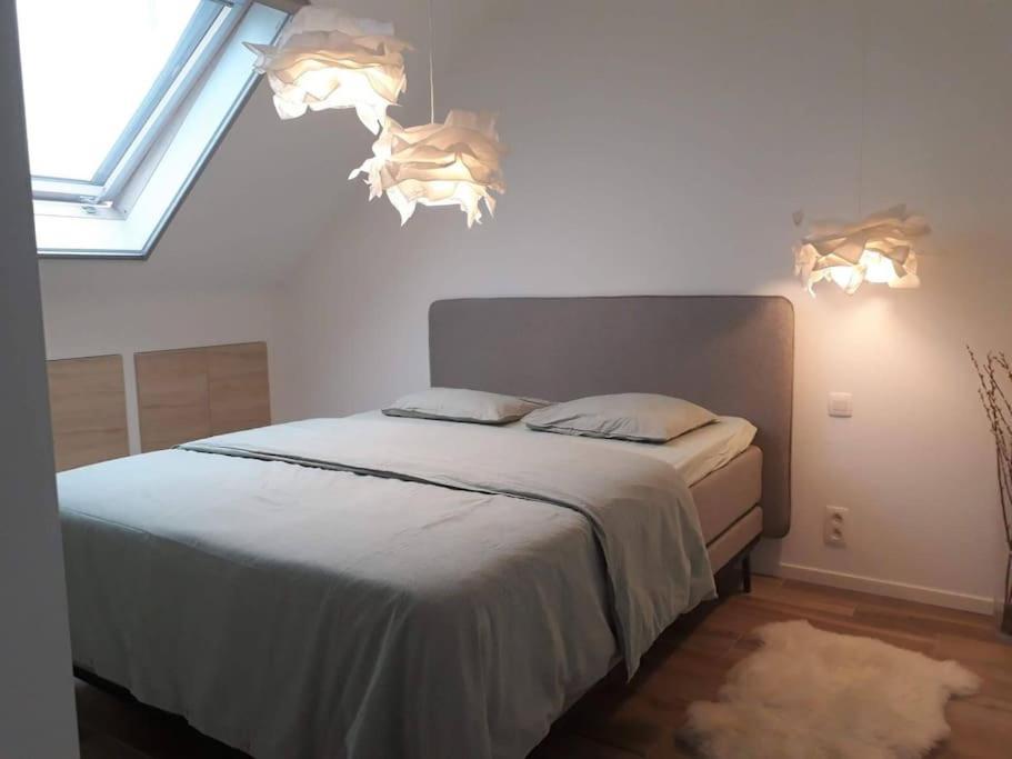 Minus Is Joenus Villa Ostend Luaran gambar